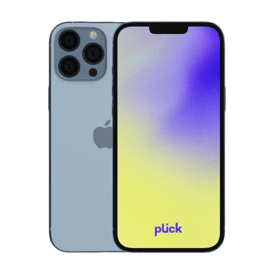 iPhone 13 Pro Max
