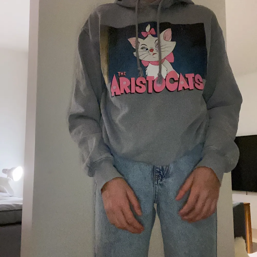 Grå hoodie med tryck köpt från H&M 🥰          Pris: 50kr exklusive frakt 💓. Övrigt.