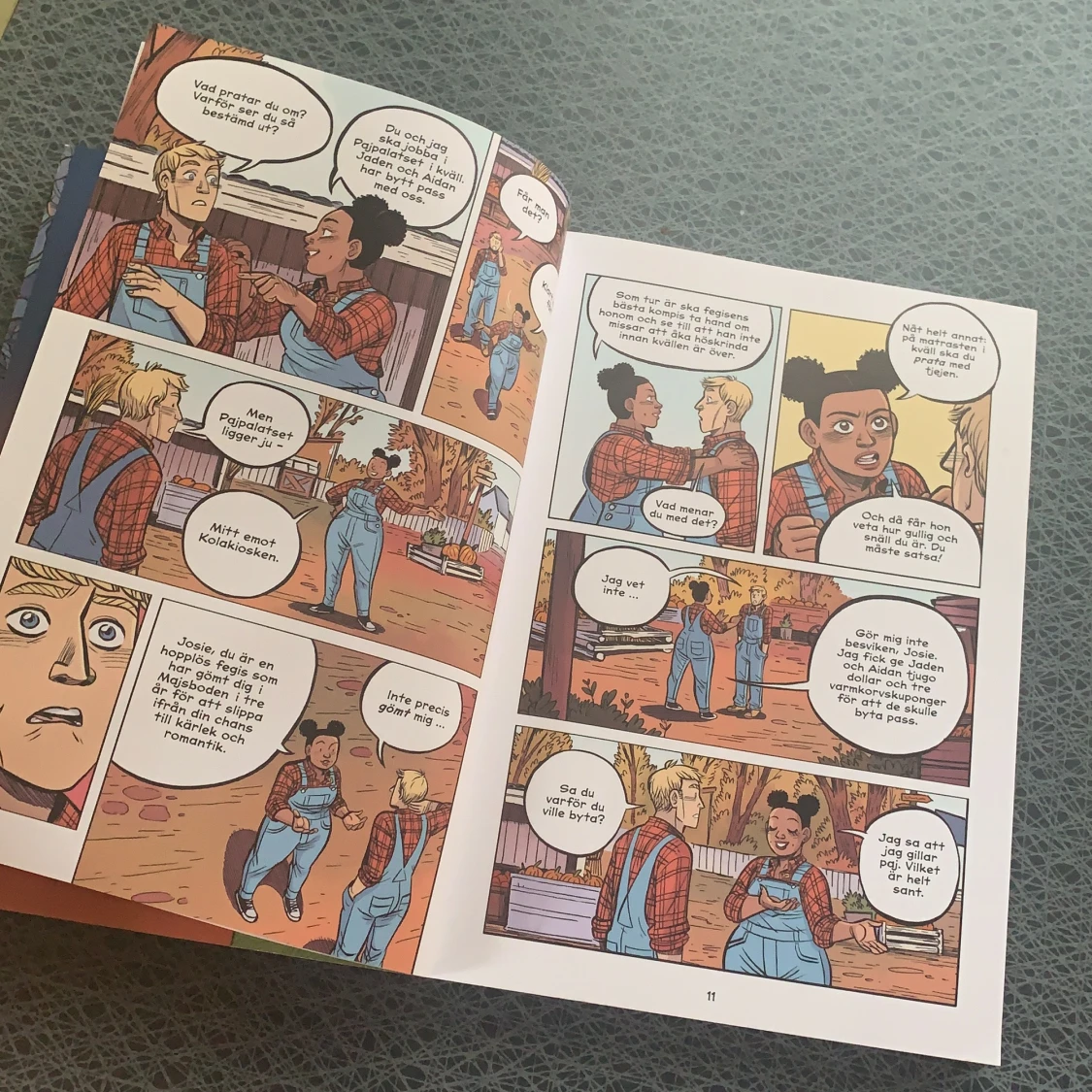 Sista chansen grafisk bok - 91