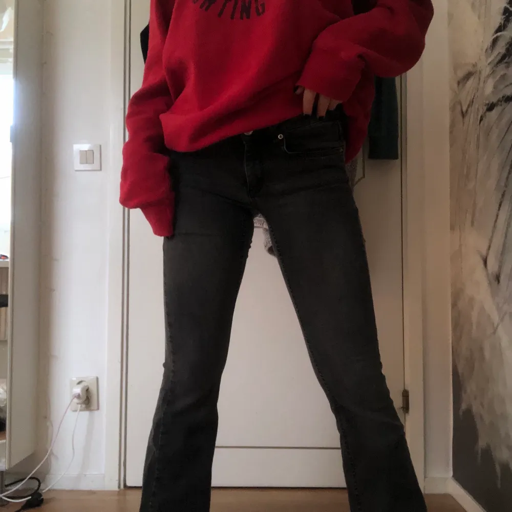 Gråa bootcut jeans från Gina som är i strl XS och är lågmidjade. Lite ljusare i verkligheten än vad som framkommer. 150kr + frakt✨💖 . Jeans & Byxor.