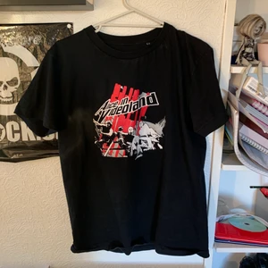 Bandtröja  - Skitsnygg bandtröja från punkbandet Alice in videoland, mycket använd med i jättebra skick! Storlek m men kan passa allt från xs-l