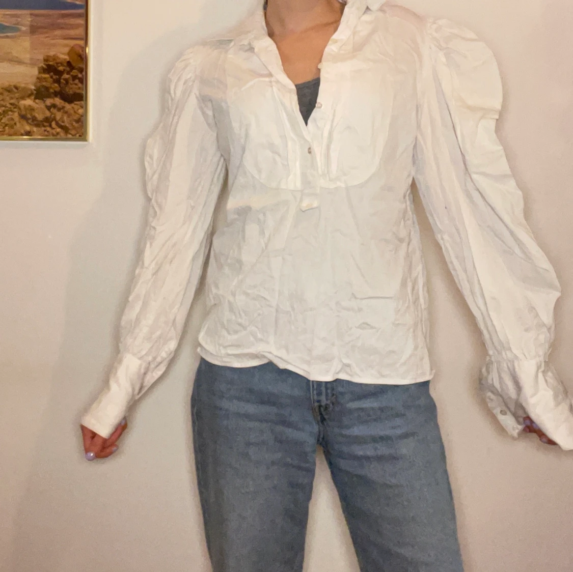 Vintage puffy sleeve  Top