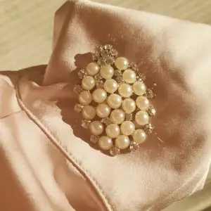 🧚🏻‍♀️FÖRST TILL KVARN!🧚🏻‍♀️ En vacker & elegant vintage brosch med pärlor och kristaller. En älskvärd statement som nu går vidare. Vill bli av med ASAP! Pris:70+frakt💙🌸