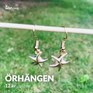 Örhängen  - Ok