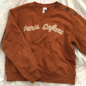 & other stories sweatshirt - Säljer denna bruna sweatshirt från & other stories då den inte kommer till användning. Den är endast använd ett fåtal gånger och har inga defekter. Den är i storlek 38.