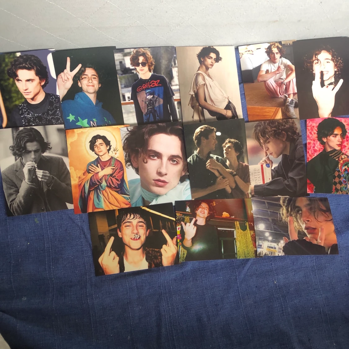 Timothee Chalamet bilder