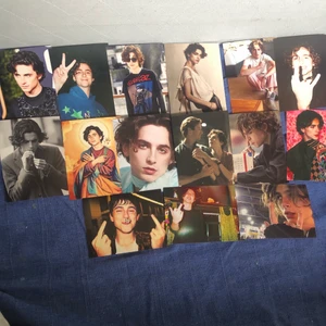 Timothee Chalamet bilder - bilder på Timothee som är köpta 2020, bra skick! skriv om du är intresserad eller har frågor! kolla även in min profil där jag säljer bilder på Hov1 och Harry Styles!💖