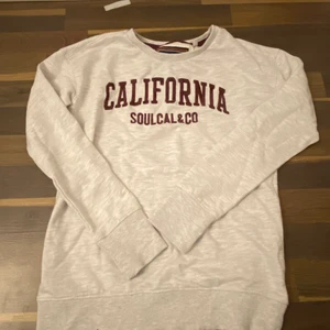 Tröjor långärmad  - säljer alla 3 för 100. 1 kostar 40kr.