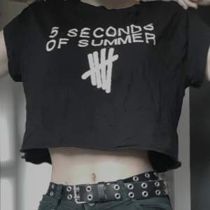 5sos-tröja köpt på H&M för några år sen som inte används längre, i väldigt bra skick. Materialet är lite tunnt men bekvämt, står S men är ganska stor. 