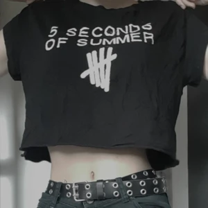 Croptop - 5sos-tröja köpt på H&M för några år sen som inte används längre, i väldigt bra skick. Materialet är lite tunnt men bekvämt, står S men är ganska stor. 