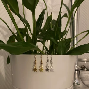 Örhängen  - Star earrings✨