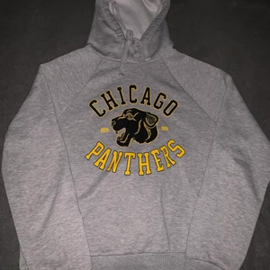 Grå Hoodie med ett tryck på - En grå hoodie med ett gulsvart tryck på! Storlek S och kostar 90kr