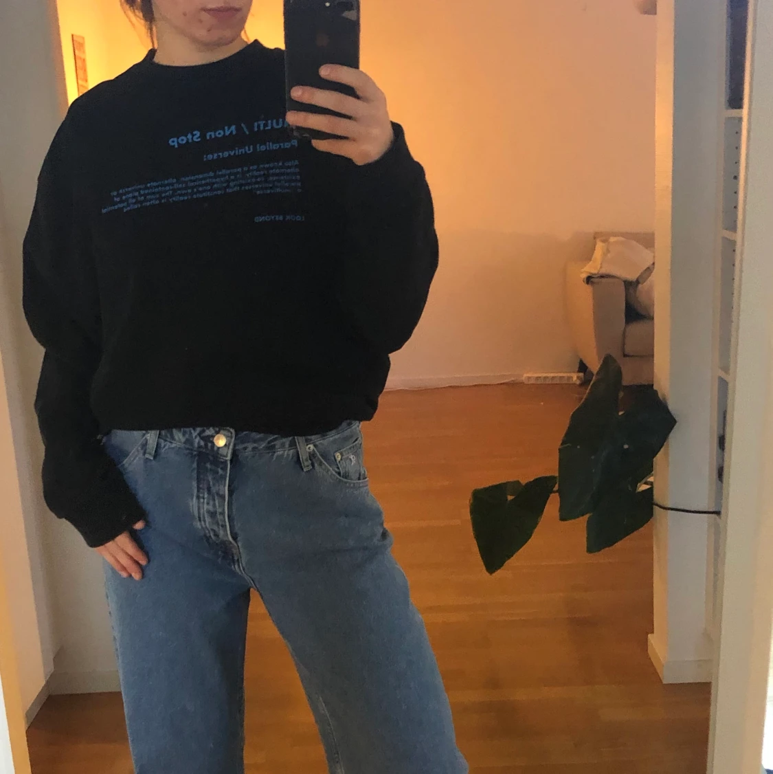 Sweatshirt från Collusion