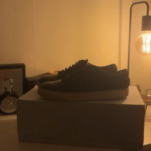 lanvins - tja säljer ett par lanvins i hyfsat bra skick. box, dustbag och extra skosnören medföljer. ifall du har några funderingar är det bara att fråga