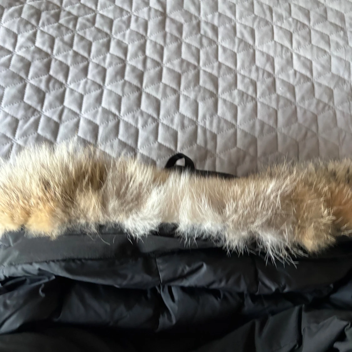 Svart Canada Goose wyndham - 3