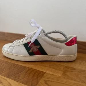 Gucci Ace sneakers  - Tjenare! Säljer nu mina Gucci skor i storlek US 7,5. Skicket är som de ser ut, använt lite slitet och små fläckar. Creasing finns på skorna och jag har ärligt inte försökt tvätta de så noggrant därav priset. Självklart äkta köpta från cirkular fashion! 