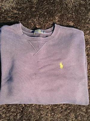 Lila/blå sweatshirt från Polo Ralph Lauren - Säljer en lila sweatshirt från Polo Ralph Lauren i storlek M. Tröjan är sparsamt använd och använder den tyvärr inte längre.  Perfekt att ha i garderoben.