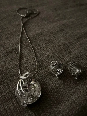 Ingen väst på bilden - Klar och silver