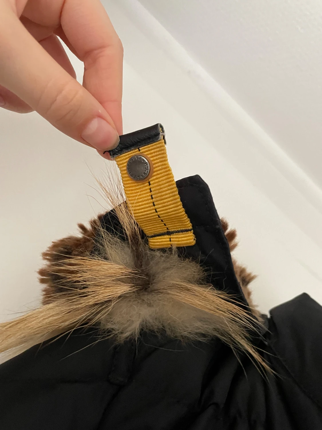 Svart dunjacka Parajumpers - 5