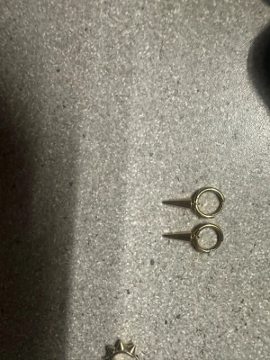 Örhängen  - Ett par super fina guld örhängen från Edblad. Pris kan självklart diskuteras. Örhängerna är rengjorda, innan paketet levererats. 