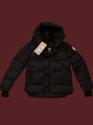 Svart pufferjacka från Canada Goose - Svart pufferjacka från Canada Goose med huva och klassisk logga på ärmen. Jackan har quiltad design, dragkedja framtill och ribbade muddar vid ärmslut. Perfekt för kalla dagar och har en clean, stilren look som funkar till allt.