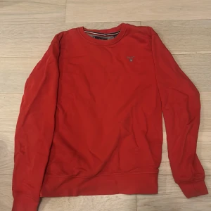 Röd sweatshirt från GANT - Röd gant tröja
