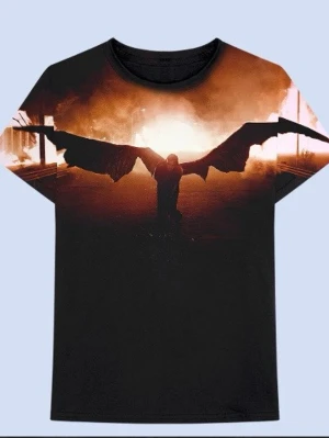 SÖKER - Söker dessa atgggth merch! T shirt, long sleeve och flexi disc :) skriv gärna om ni har någon av dom, vill sälja och vilket pris isåfall ! 