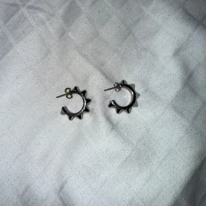 Edblad öronhänge - Peak Creoles Mini Steel - Säljer mina öronhänge från Edblad då dem ej kommer till användning, använt fåtal gånger, men inte riktigt min stil. 