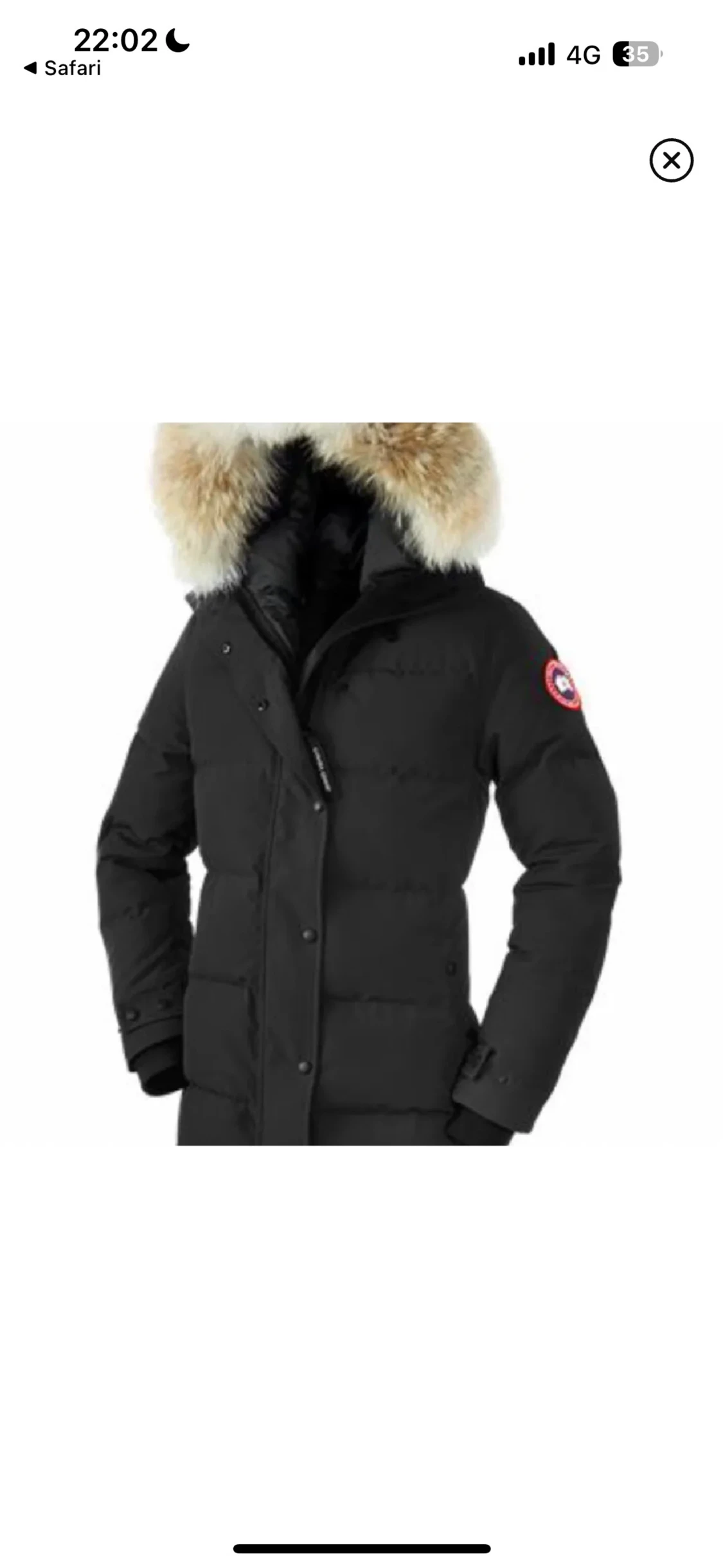 Shelburne canada goose - 4