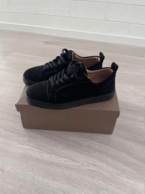 Christian Louboutin  - Har använt dom ett få tal gånger.