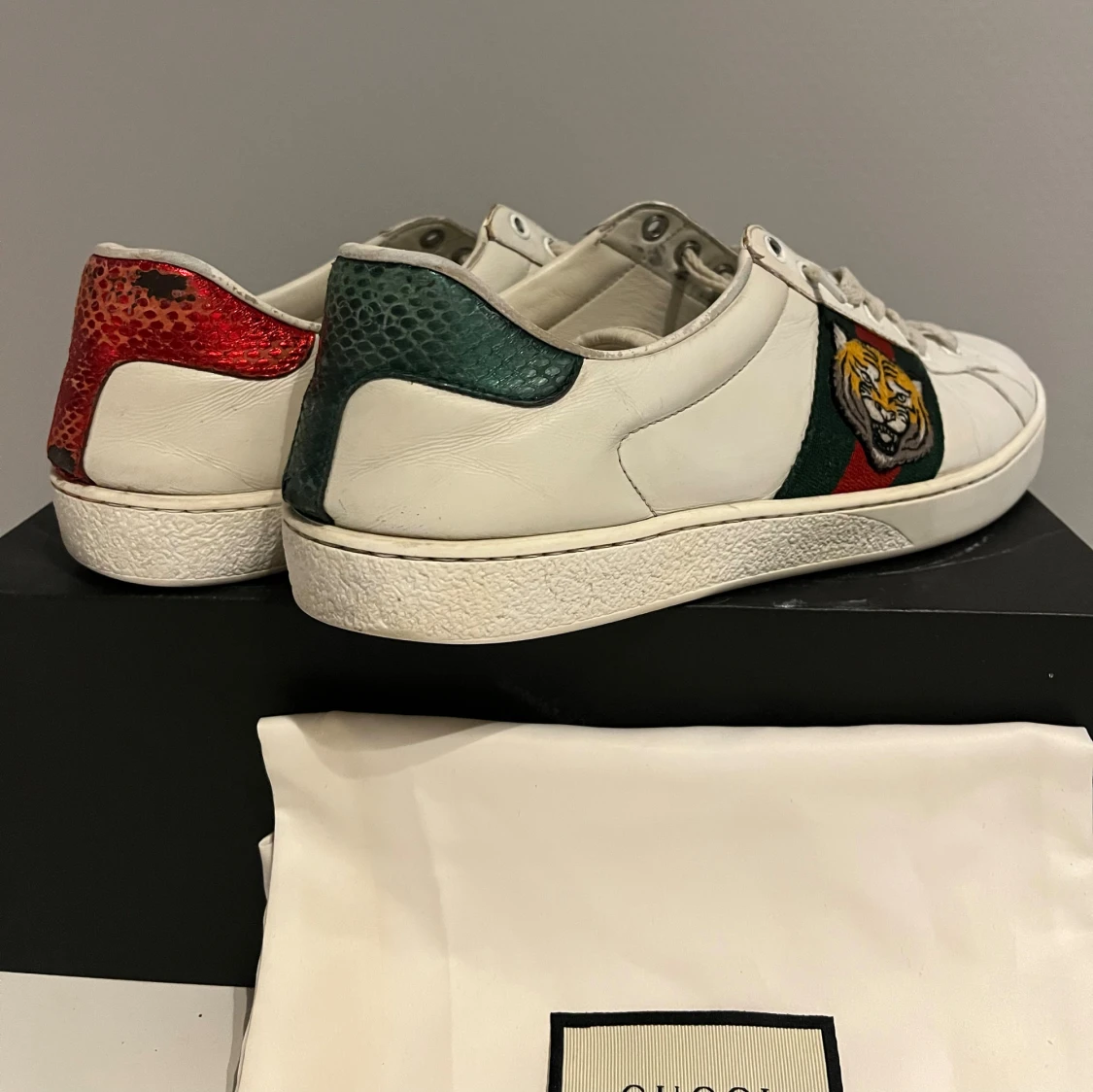 Gucci ace  - 1