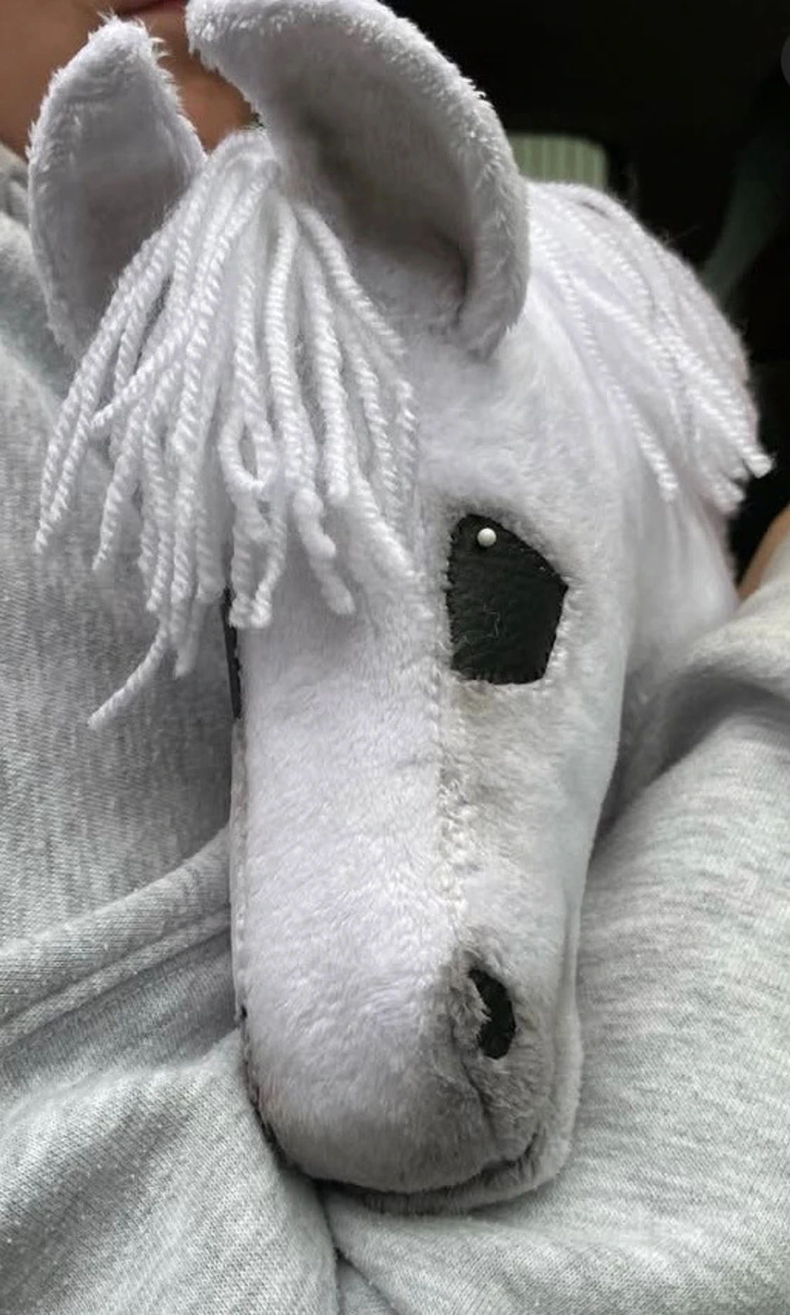 Käpphäst till salu