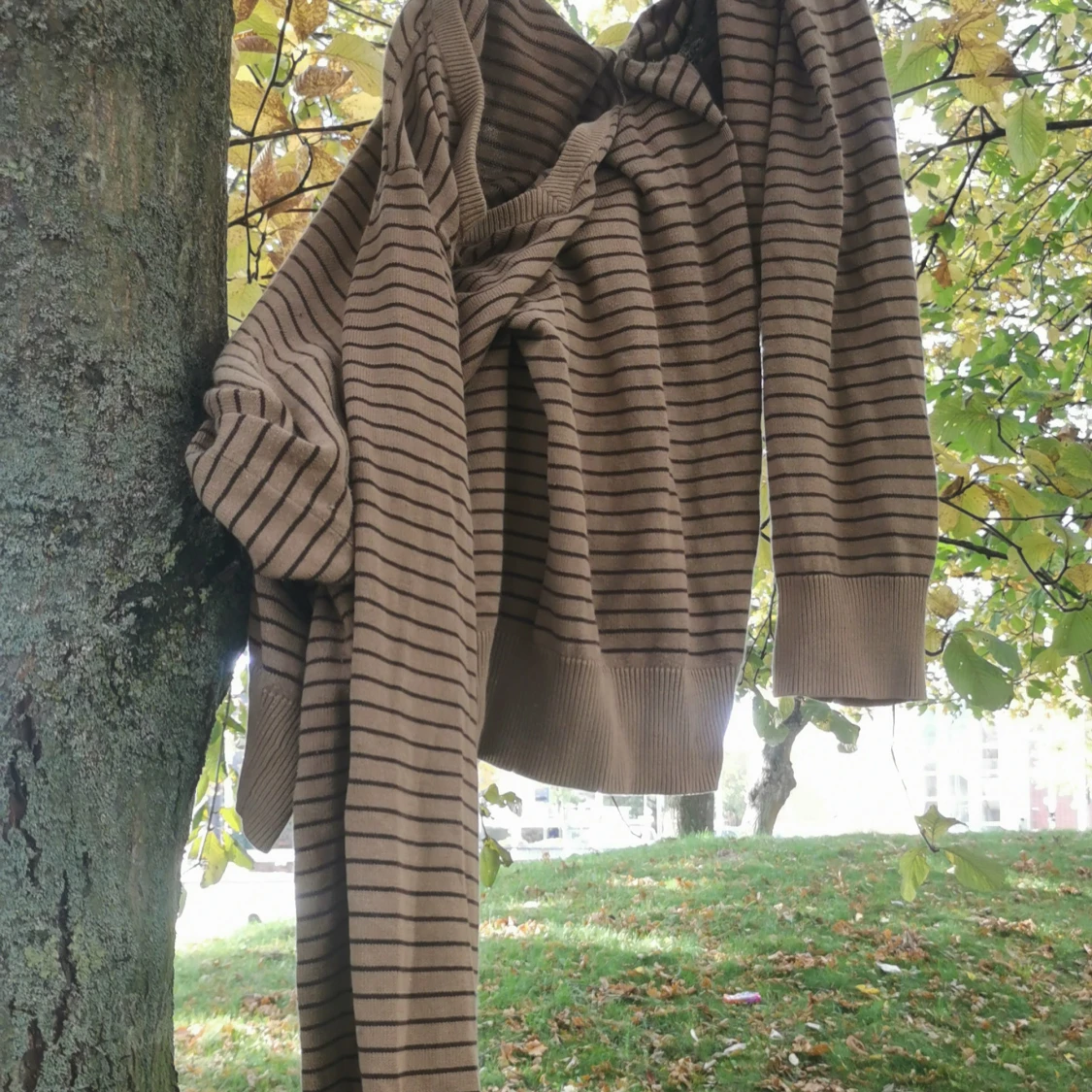 Beige och brun randig tröja Adam XL - 91