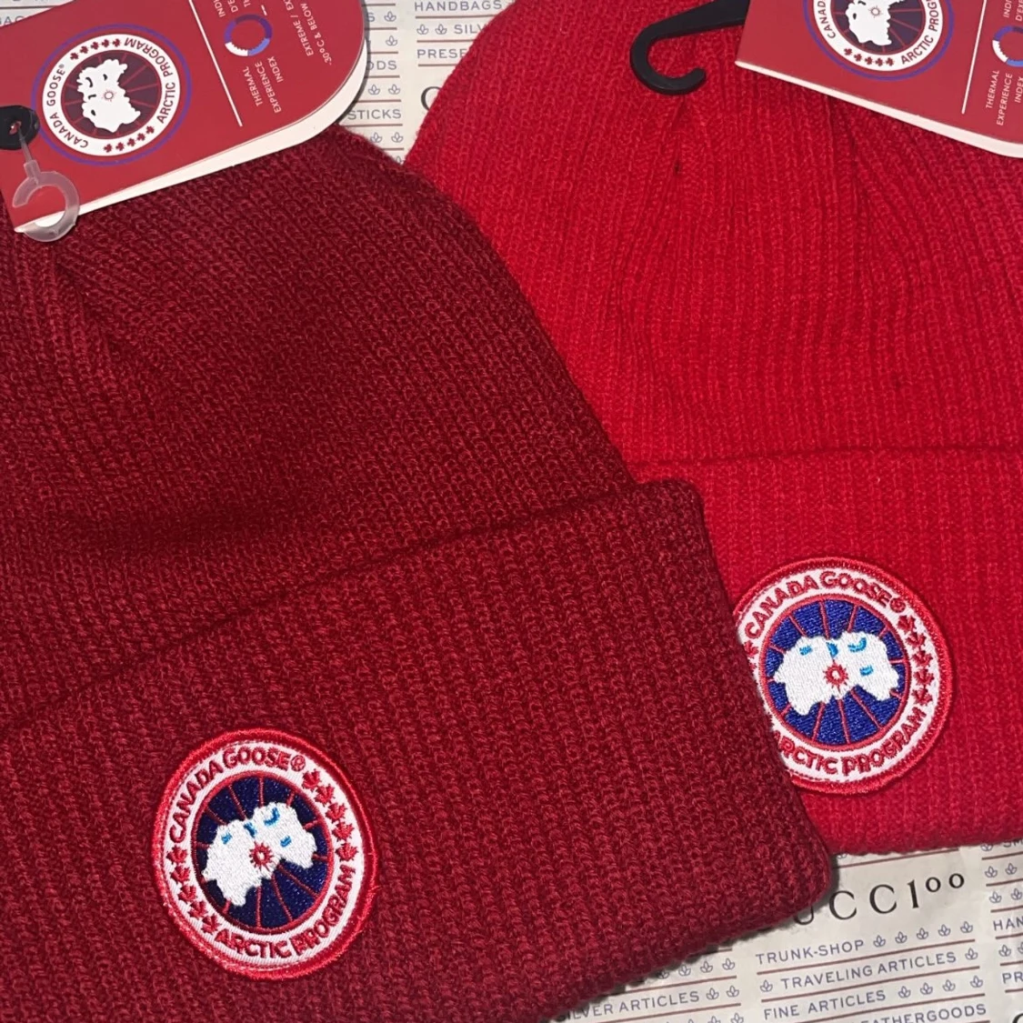 Canada goose vintermössa  - 3