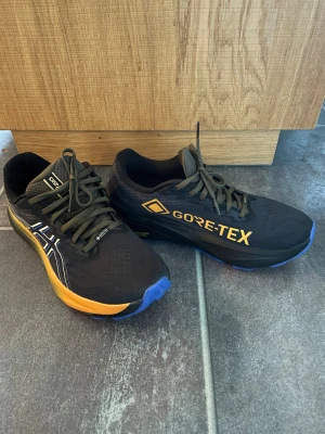 ASICS GT-2000 14 Gore-Tex  - I princip nya. Anv 3 ggr. Blev för små i tån för mig. Strl 42. Supersko med sviktande sula i hälen! Nypris 1899:-