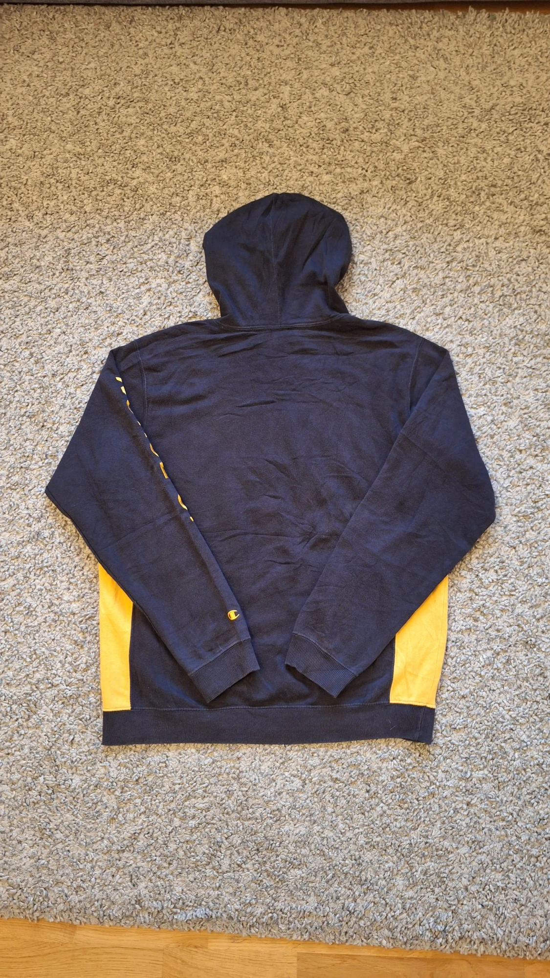 Champion NKU Norse hoodie - 1