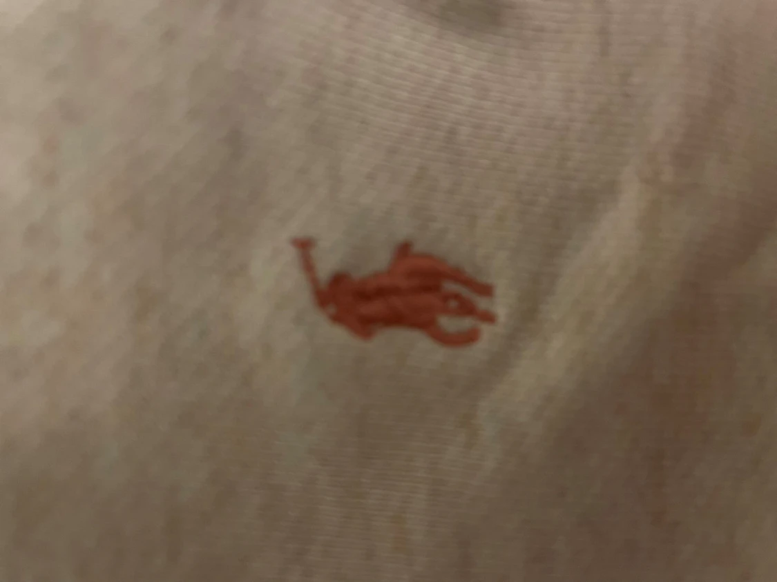 Beige hoodie från Polo Ralph Lauren  - 1