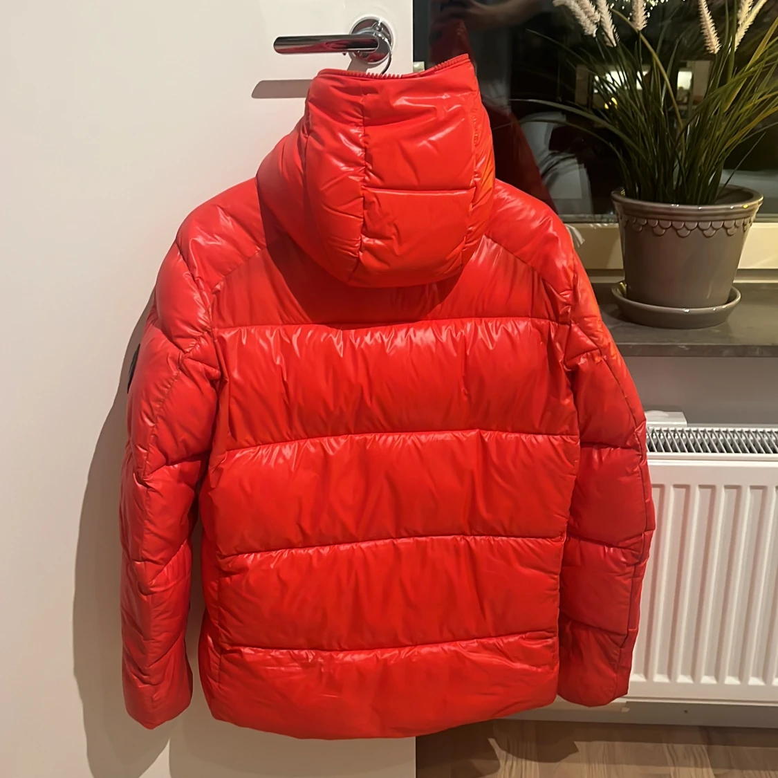 Save the duck Edgard - 1