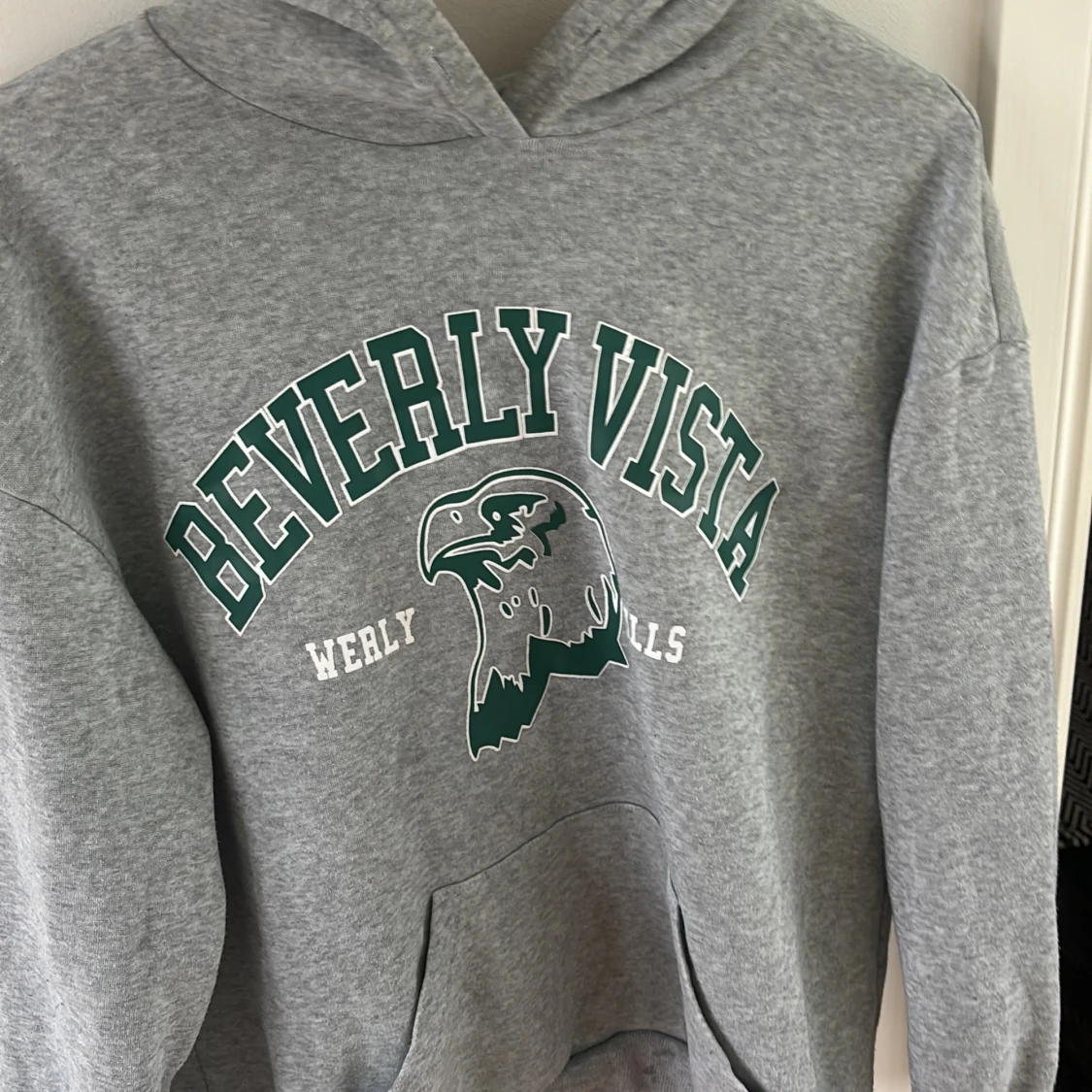 Grå Beverly Vista hoodie från SHEIN - 1