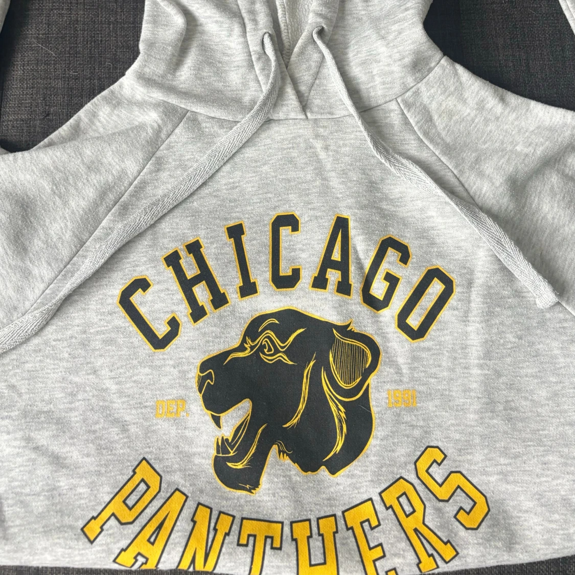 Grå hoodie Chicago Panthers Gina Tricot