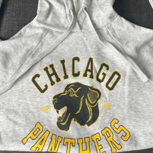 Grå hoodie Chicago Panthers Gina Tricot - Grå hoodie från Gina Tricot med tryck 'Chicago Panthers' i svart och gult på framsidan. Tröjan har huva med snörning och mjukt fleecefoder på insidan. Snyggt sportigt motiv med panterhuvud och kontrasterande detaljer.