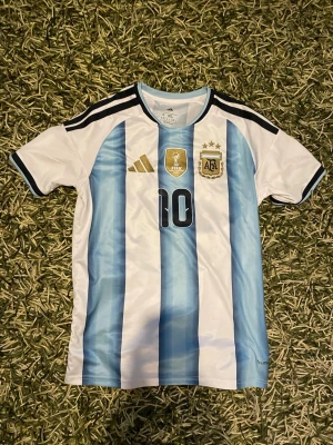 Argentina 2026 VM tröja MESSI - Bilderna visar en fotbollströja från Argentina med nummer 10 och namnet Messi, 