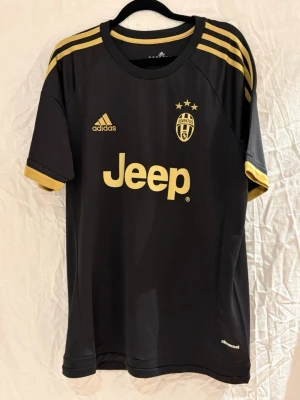 Juventus tredje ställ 15/16  - Säljer en svart och guldig Juventus tröja från 15/16 säsongen. Tröjan är hel svart med guldigt tryck samt sponsor. På ryggen så står Pogba  med nummer 10. Perfekt för dig som hejar på Juventus och vill ha en snygg tröja. 