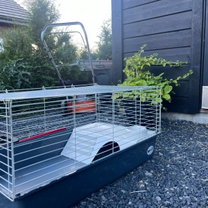 Fin kaninbur parfekt inomhus  - Kaninbur från arken zoo eller zooplus Förmodligen väldigt bra skick lite rostig här och där men har även litet hus dom kan gömma sig i plus vatten skål 
