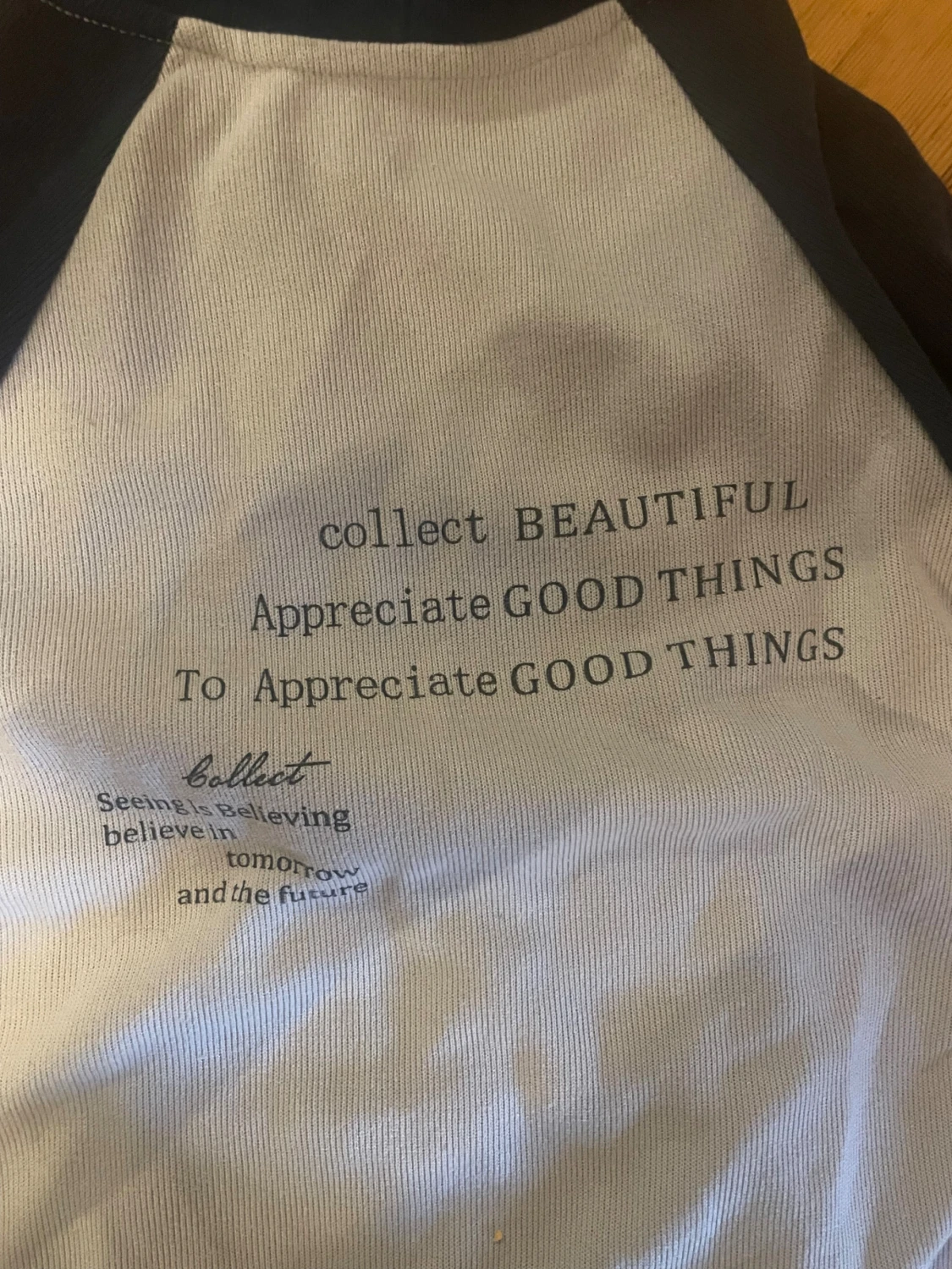 Beige och marinblå bomberjacka med tryck - 2