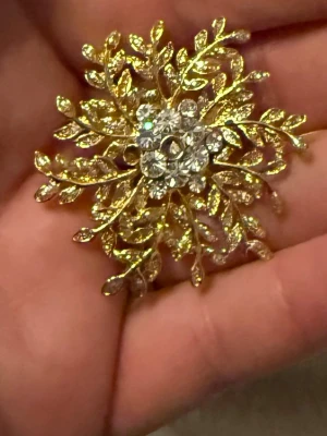 Brosch  - , utan ett smycke i form av en brosch med guldfärgade 