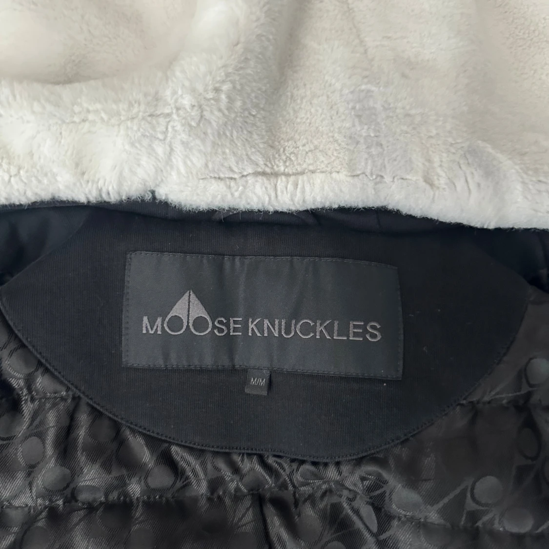 Moose knuckles bunny - 2