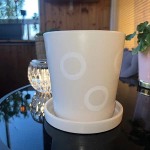 Fin kruka  - Fin kruka