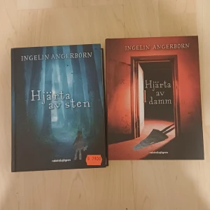 Hjärta av sten & Hjärta av damm - Två spännande böcker av Ingelin Angerborn! Mystiska och kusliga berättelser med övernaturliga inslag, perfekta för dig som gillar spänning och gåtor. Passar unga läsare som vill ha kalla kårar och oförklarliga händelser.