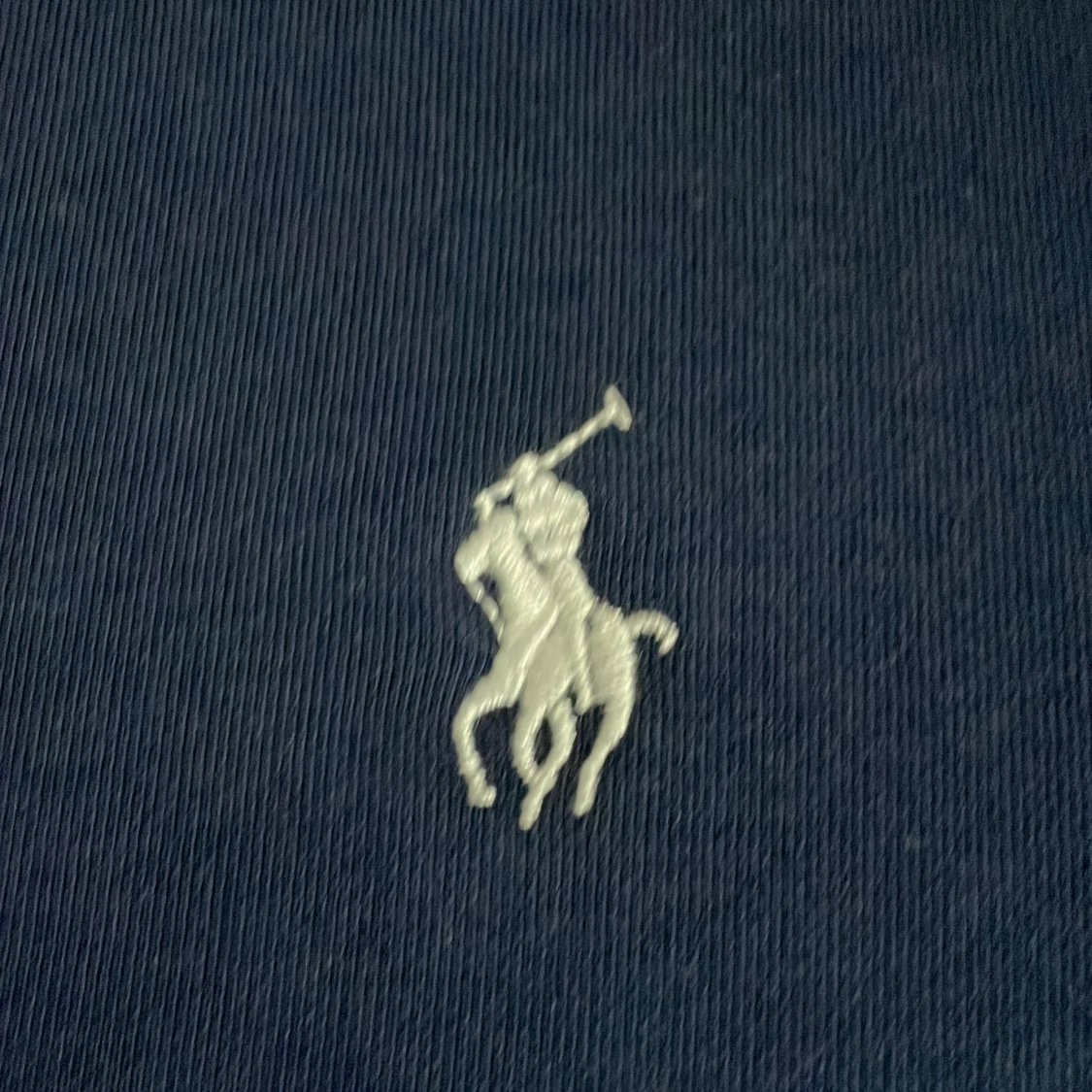 Marinblå hoodie från Polo Ralph Lauren - 1